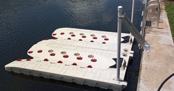 241116190_1020369718736466_3263685717052624176_n